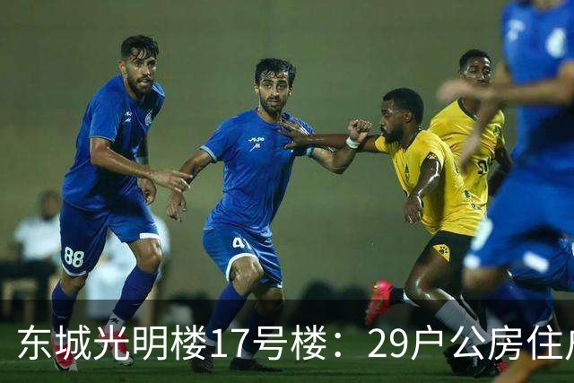 东城光明楼17号楼：29户公房住户凑钱把楼拆了重建