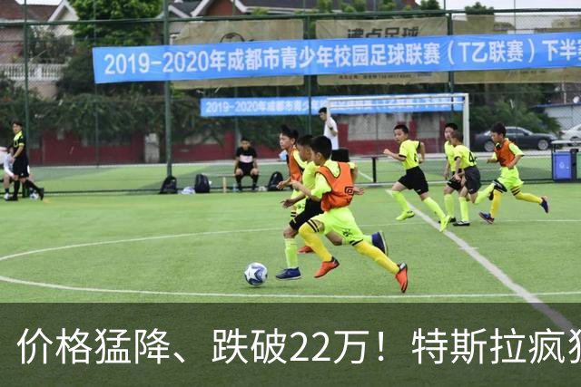价格猛降、跌破22万！特斯拉疯狂降价背后真相，刚提车车主血亏