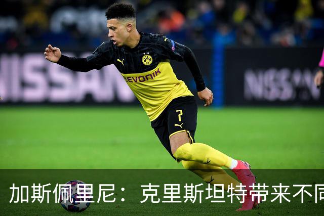 加斯佩里尼：克里斯坦特带来不同变量，客场赢那不勒斯将是实力宣言