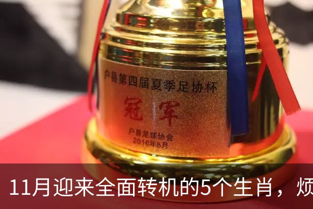 11月迎来全面转机的5个生肖，烦心事慢慢消失，财富爱情接连落地